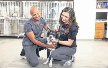 Hospital will treat pets, including exotic animals | Hamilton Journal ...