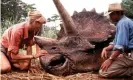  ??  ?? Brilliant casting … Laura Dern and Sam Neill tend a sick triceratop­s. Photograph: MCA/Everett/Rex Features