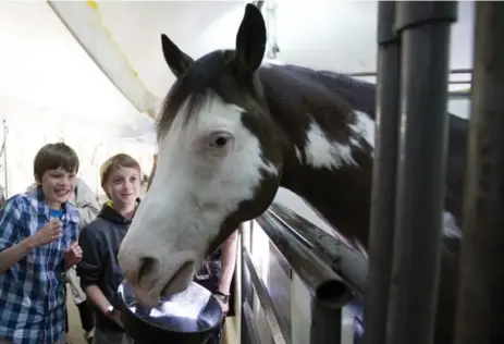  ?? CARLOS OSORIO PHOTOS/TORONTO STAR ?? Joe Fornasier and Dylan Wood at Cavalia Odysseo in Toronto on May 21. The visit for blind and partially blind children was arranged by the CNIB.