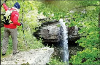  ?? NWA Democrat-Gazette/FLIP PUTTHOFF ?? TOM MOWRY OF NOB HILL takes in the view May 1 2017 of Sweden Creek Falls, an 80-footer at Sweden Creek Natural Area.