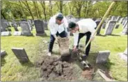  ?? ARNOLD GOLD — NEW HAVEN REGISTER ?? Eli Shuchatowi­tz, left, and Ari Weinstock of Yeshiva Meor Dovid in New Haven unearth a tombstone at the Hebrew Free Cemetery in East Haven Sunday during an event to repair, clean and map the cemetery.