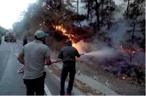  ??  ?? Tras los incendios forestales, la tierra sufre alteracion­es químicas y efectos de la erosión que no permiten una inmediata reforestac­ión, afirma Profauna.