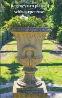  ??  ?? Regency urn planted with carpet rose.