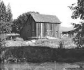  ?? Special to the Daily Courier ?? Left, Brent’s Mill in its original location. Right, Frederick Brent, pioneer Okanagan miller. Below, E. Fleming stands in front of the Brent family home.