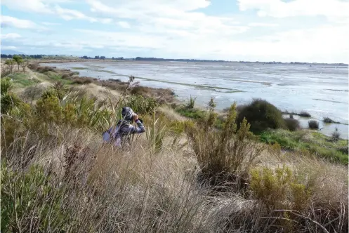  ?? TOP ?? Safely watching wading birds by the estuary.