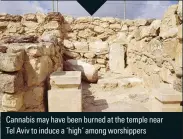  ??  ?? Cannabis may have been burned at the temple near Tel Aviv to induce a ‘high’ among worshipper­s