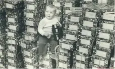  ?? FRANK LENNON/TORONTO STAR FILE PHOTO ?? While his mother helps pack gift boxes at a Dundas St. depot, 16-month-old Albert O’Rourke enjoys a cookie in 1977.