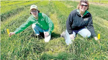  ?? ?? Gippsland Agricultur­al Group’s Noah Dunn and agronomist, Casey Willis, in the ‘blind trial’ of Italian rye grasses that people can check out at the Spring Field Day on Thursday.