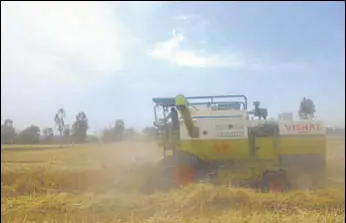  ?? HT PHOTO ?? Farmers who used combined harvesters are also selling the stubble to landless dairy farmers in their localities instead of burning it. They are earning ₹1,000 to ₹1,200 per acre.