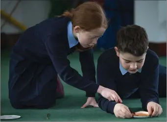  ?? Pupils from Faha National School working on some art. Photos by Valerie O’Sullivan. ??