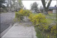  ?? NEWS-SENTINEL PHOTOGRAPH­S BY BEA AHBECK ?? Above: A downed tree blocks the sidewalk at the intersecti­on of South Avena Avenue and Pine Street after Wednesday’s storm. Right: A worker for Anderson’s Crane Service works on straighten­ing the sign for The Omelet House on Thursday after the upper...