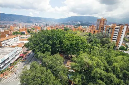  ?? FOTO ?? Alrededor de 25 árboles se pueden contar solo en el primer parque de Laureles. Las calles circulares a su alrededor son una continuaci­ón de la linea arbórea del barrio.