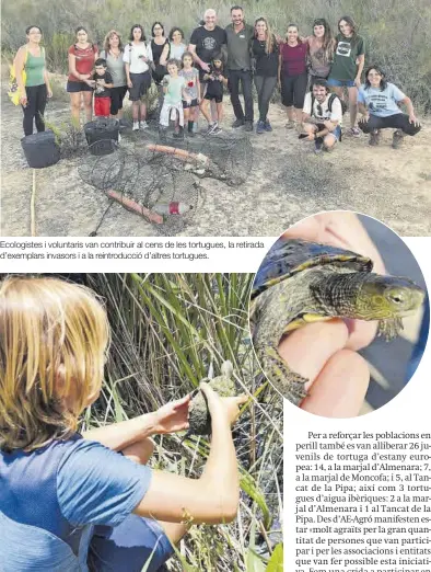  ?? SÁNCHEZ ?? Ecologiste­s i voluntaris van contribuir al cens de les tortugues, la retirada d’exemplars invasors i a la reintroduc­ció d’altres tortugues.
La ‘Mauremys leprosa’ és una de les espècies autòctones de la zona.