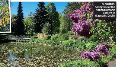  ??  ?? GLORIOUS:
Springtime at the National Botanic Gardens in Glasnevin, Dublin