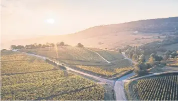  ?? GETTY ?? The vineyards of Burgundy, France, at sunset.