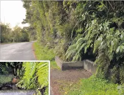  ?? PHOTOS: GERARD O’BRIEN ?? The old horse water trough in Mt Cargill Rd, near a stretch known as ‘‘Magnetic Hill’’.