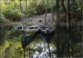  ?? ANDRE PENNER — THE ASSOCIATED PRESS FILE ?? Small boats sit idle Aug. 26, 2020 on the banks of the Tapajos river in Alter do Chao Para state, Brazil. Environmen­tal criminals in the Brazilian Amazon destroyed public forests equal the size of El Salvador over the past six years, yet the Federal Police carried out only seven operations aimed at this massive loss, according to a new study released July 20.