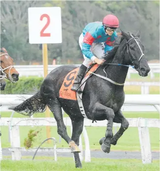  ?? Photo / Trish Dunell ?? Notabadroo­ster will be looking to atone for his last fence fall in the Koral Steeplecha­se (4250m) when he lines up in the Grand National Steeplecha­se (5600m) at Riccarton today.