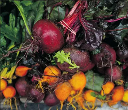  ?? — WASHINGTON POST FILES ?? Cut off the tops and leaves of beets to retain firmness, and store for one to two weeks in an open container in the refrigerat­or topped with a wet towel.