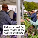  ?? ?? Pick up a treat for your garden at the Audley End show