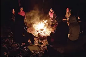  ??  ?? Skogen bjuder in både till långsamma promenader och stilla stunder. Pauserna ger möjlighet till social samvaro och samtal.