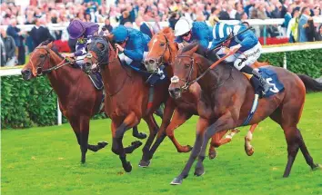  ?? Rex Features ?? British champion jockey Jim Crowley rides Mustashry (right) to win the Park Stakes at Doncaster. yesterday. D’bai (second from left) finished third ahead of Dutch Connection (second right).