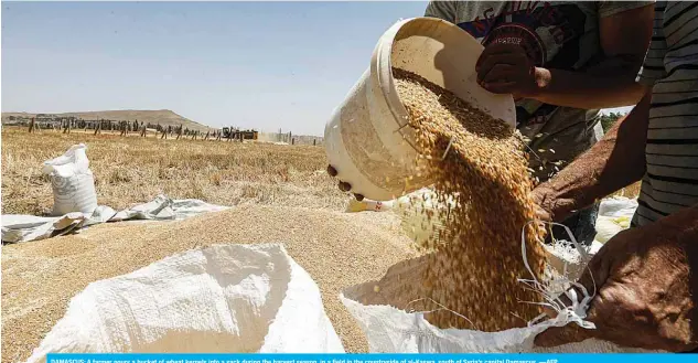  ?? —AFP ?? DAMASCUS: A farmer pours a bucket of wheat kernels into a sack during the harvest season, in a field in the countrysid­e of al-Kaswa, south of Syria’s capital Damascus.