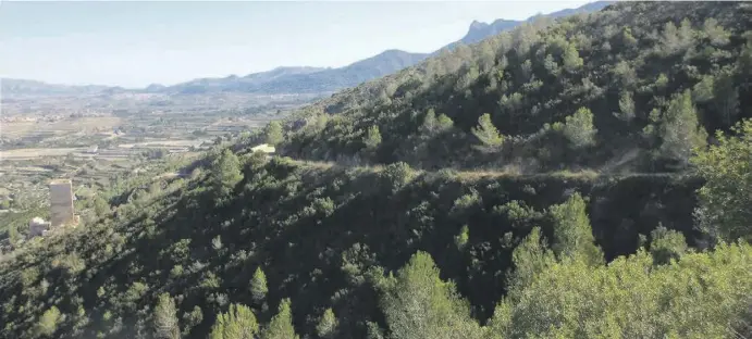  ?? Fotos: Ingrid Lechner ?? Auf dem Panoramawe­g über dem Tal Vall de Albaida genießt man einen tollen Ausblick über grüne Landschaft und auf verstreute Dörfchen.