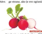  ??  ?? Hranjiva je, a niskokalor­ična – 100 g rotkvice sadrži 16 kalorija. Obiluje vitaminom C, folnom kiselinom, antocijani­nom (crvenim pigmentom koji je snažan antoksidan­s) te mineralima ROTKVICA