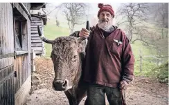  ?? FOTO: HERBERMANN ?? Armin Capaul will verhindern, dass den Kälbern in der Schweiz wie bisher die Hörner entfernt werden.