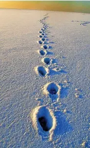  ?? Colin Lane ?? Arctic Formby beach and footprints in the snow