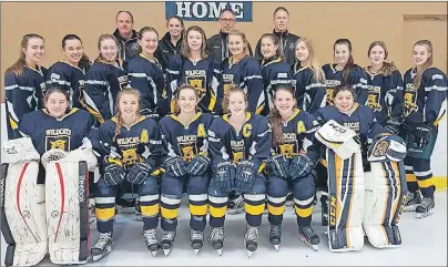  ?? SUBMITTED PHOTO ?? The Mid-Isle Wildcats will represent P.E.I. at the 2017 Atlantic midget AAA female hockey championsh­ip in East Hants, N.S. Play begins Thursday and continues through to Sunday. Members of the Wildcats are, front row, from left: Maggie Johnston, Alexis...