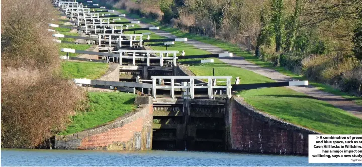  ?? Nigel Vile ?? A combinatio­n of green and blue space, such as at Caen Hill locks in Wiltshire, has a major impact on wellbeing, says a new study