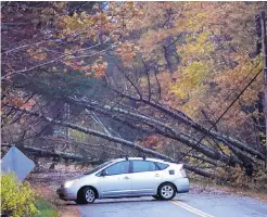  ?? ROBERT F. BUKATY/ASSOCIATED PRESS ?? A motorist turns around on Monday after finding the road blocked by trees that fell during a storm in Freeport, Maine. Falling trees knocked down power lines across New England.