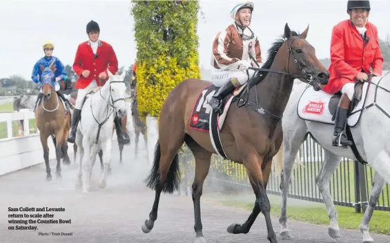  ?? Photo / Trish Dunell ?? Sam Collett and Levante return to scale after winning the Counties Bowl on Saturday.