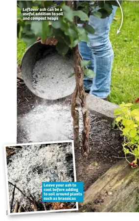  ??  ?? Leftover ash can be a useful addition to soil and compost heaps Leave your ash to cool before adding to soil around plants such as brassicas