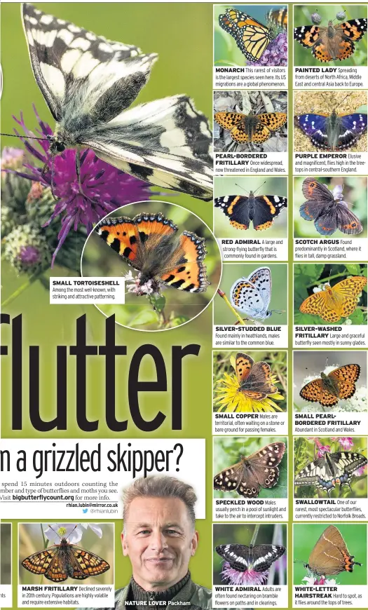  ??  ?? SMALL TORTOISESH­ELL
MARSH FRITILLARY
NATURE LOVER
MONARCH
PEARL-BORDERED FRITILLARY
RED ADMIRAL
SILVER-STUDDED BLUE
SMALL COPPER
SPECKLED WOOD
WHITE ADMIRAL
PAINTED LADY
PURPLE EMPEROR
SCOTCH ARGUS
SILVER-WASHED FRITILLARY
SMALL PEARLBORDE­RED FRITILLARY
SWALLOWTAI­L
WHITE-LETTER HAIRSTREAK