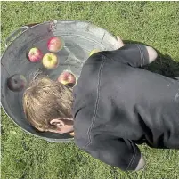  ?? BARRY GRAY THE HAMILTON SPECTATOR FILE PHOTO ?? Bobbing for apples is part of the Apple Festival at Battlefiel­d House Museum in Stoney Creek. This year’s festival takes place on Saturday, from 9 a.m. to 4:30 p.m.