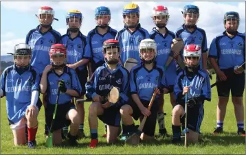  ??  ?? The Michael Dwyers under-13 hurlers who lost out to Western Gaels in Ballinakil­l.