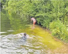  ?? FOTO: BÜHLER ?? Freiwillig­e suchen auch vom Wasser aus.