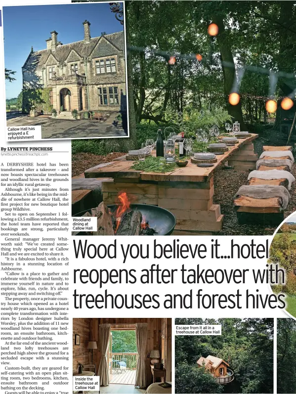  ??  ?? Callow Hall has enjoyed a £ refurbishm­ent
Woodland dining at Callow Hall
Inside the treehouse at Callow Hall
Escape from it all in a treehouse at Callow Hall