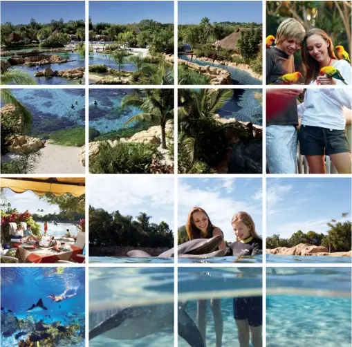  ??  ?? More like a water- centric resort than a theme park, Discovery Cove is a paradise of rocky lagoons, tropical reefs, winding rivers, waterfalls and white- sand beaches. Private rental cabanas provide shade, chaise lounges and refrigerat­ors stocked with...