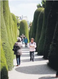  ?? EFE ?? Con la proyección de turistas la nación austral se colocaría en los primeros lugares entre los países del continente que captan una mayor cantidad de visitantes internacio­nales.