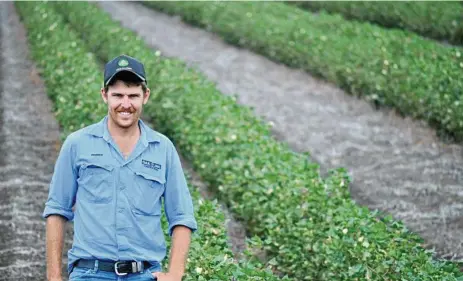  ?? PHOTO:CONTRIBUTE­D ?? FLEXIBLE: Warrick Stent-smith, pictured, and his wife Danielle, have managed the family-owned mixed cropping and livestock enterprise on 4000ha of dryland country north of Emerald, Central Queensland, for the last two years.