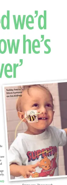  ??  ?? Teddy had a 10cm tumour on his kidney
BIG CAPTION IN HERE FOR REAL LIFE OR REPORTS