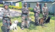  ?? HT PHOTO ?? About 100 army dogs are deployed across the state.