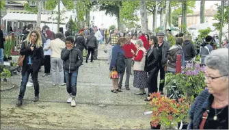  ??  ?? Plusieurs centaines de visiteurs pour cette nouvelle édition de la Salicaire