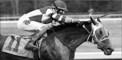  ?? COADY PHOTOGRAPH­Y ?? Whoa Nellie wins the Pippin Stakes at Oaklawn on Jan. 25 with a career-best 92 Beyer Figure.