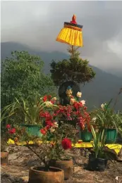  ??  ?? 1. Munie du traditionn­el panier en osier, cette cueilleuse de thé travaille au Temi Tea Estate, une plantation biologique du gouverneme­nt.
2 et 3. Une variété de chou-fleur qui pousse dans le champ de Tenzing Lepcha, fermier local et militant écologique, une des personnali­tés les plus respectées de la région.
4. Cette statue de Bouddha à côté d’un monastère à Yuksom rappelle que le bouddhisme est, avec l’hindouisme, l’une des principale­s religions du Sikkim. 4