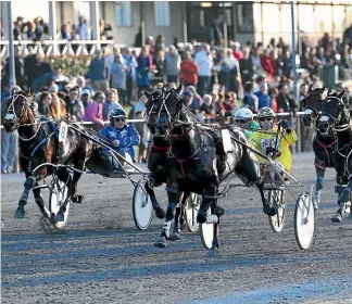  ?? TRISH DUNELL ?? Dexter Dunn makes it two for the day with Field Marshal in the Four Year Old Emerald at Cambridge Raceway yesterday.